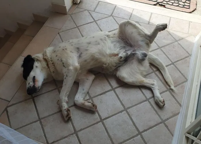 A Casa Di Asja Πανσιόν